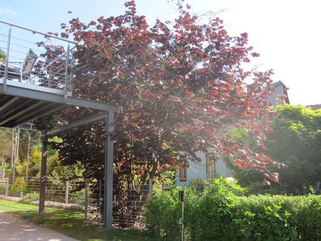 Apartment Haus Sembachtal Winterstein Exterior photo